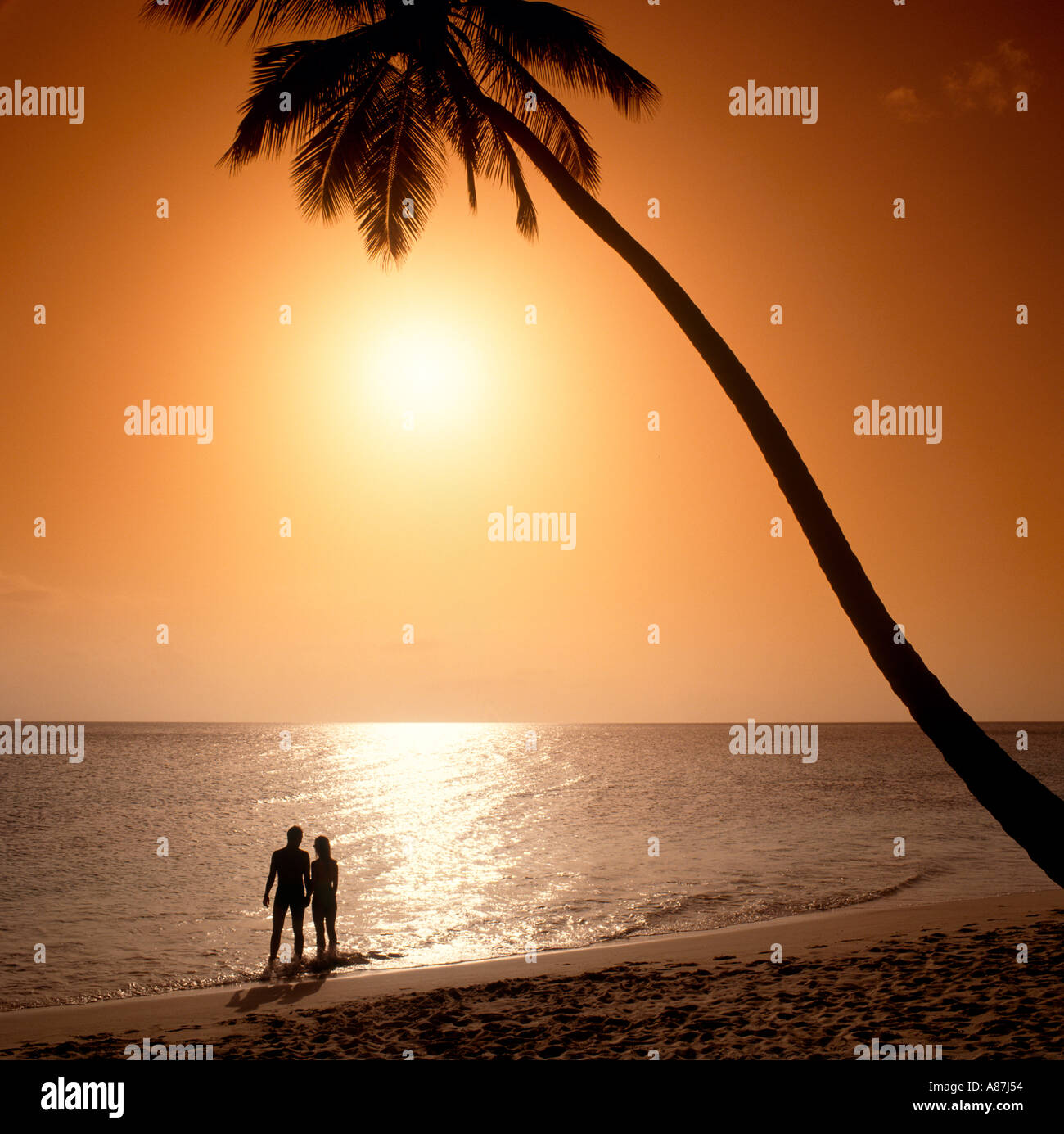 Couple sur une plage au coucher du soleil, Antigua, Caraïbes, Antilles Banque D'Images