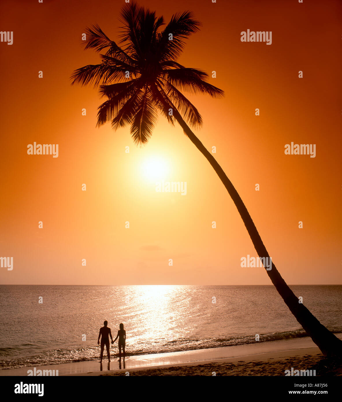 Couple sur une plage au coucher du soleil, Antigua, Caraïbes, Antilles Banque D'Images