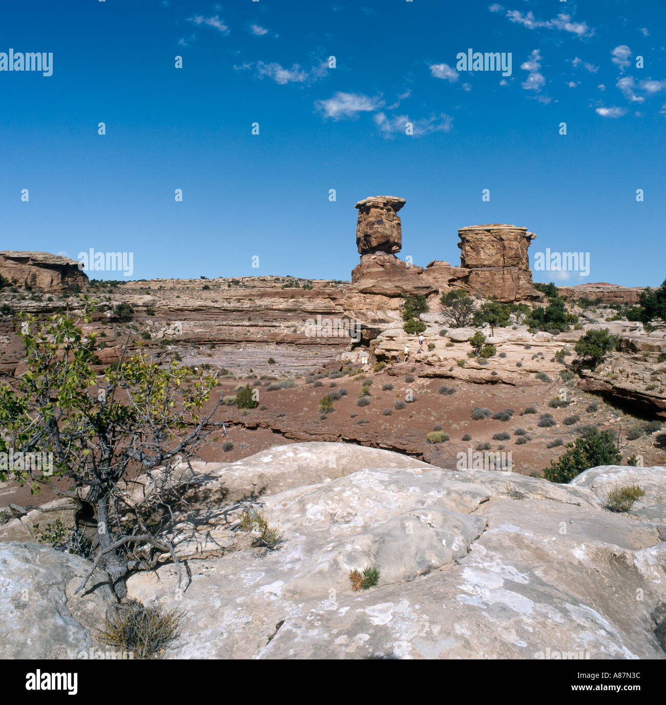 Les aiguilles, Canyonlands National Park, Utah, USA Banque D'Images