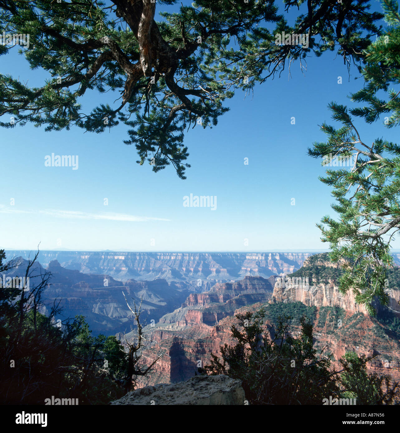 Vue de Bright Angel Point, South Rim, Grand Canyon, Arizona, USA Banque D'Images