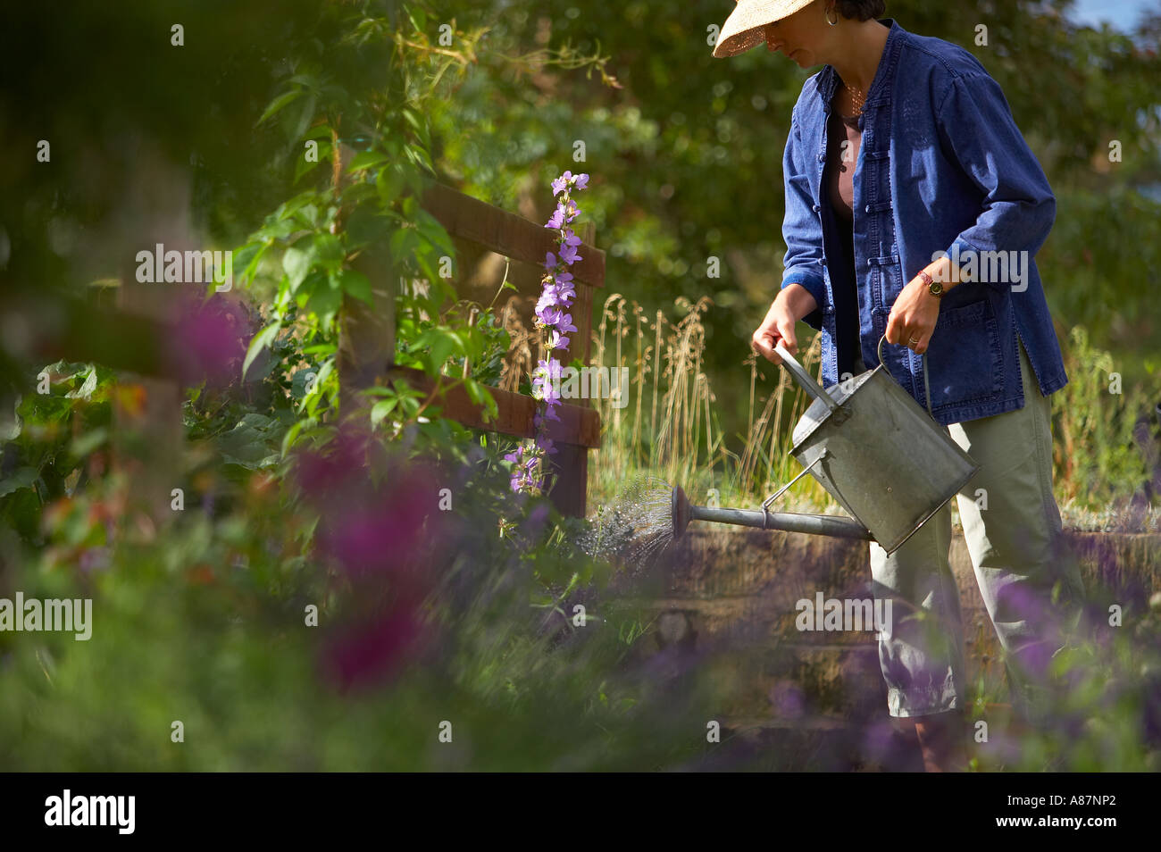 Modèle femme libérée dans l'arrosage jardin Dorset England UK Banque D'Images