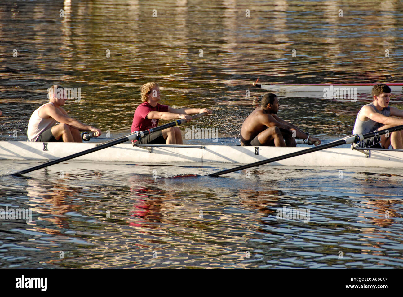 Sculling sur Tampa Bay à Tampa Bay en Floride Université de Floride du Sud à Tampa Banque D'Images Sculling sur Tampa Bay à Tampa Bay en Floride Université de Floride du Sud à Tampa Banque D'Images