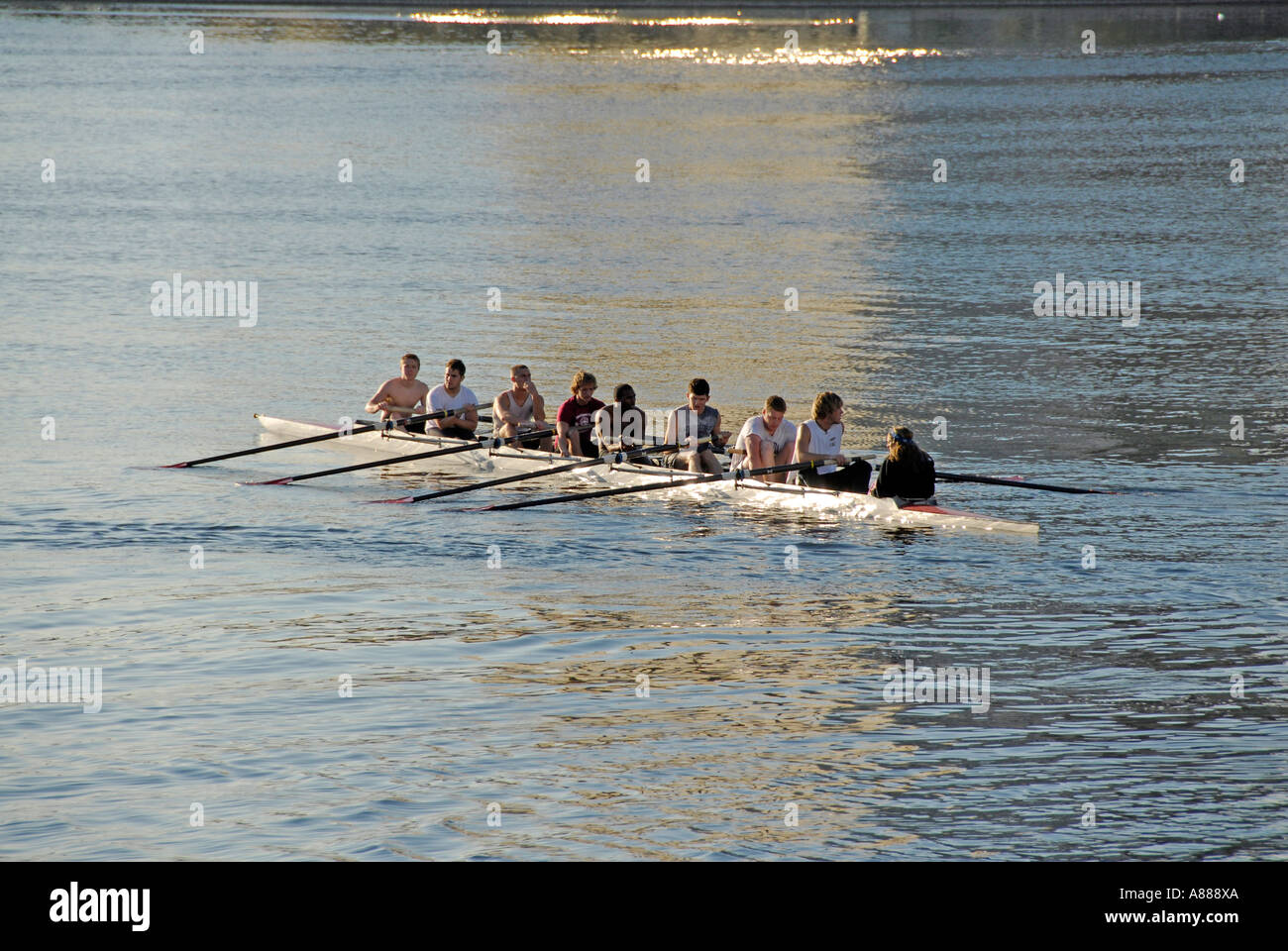 Sculling sur Tampa Bay à Tampa Bay en Floride Université de Floride du Sud à Tampa Banque D'Images Sculling sur Tampa Bay à Tampa Bay en Floride Université de Floride du Sud à Tampa Banque D'Images
