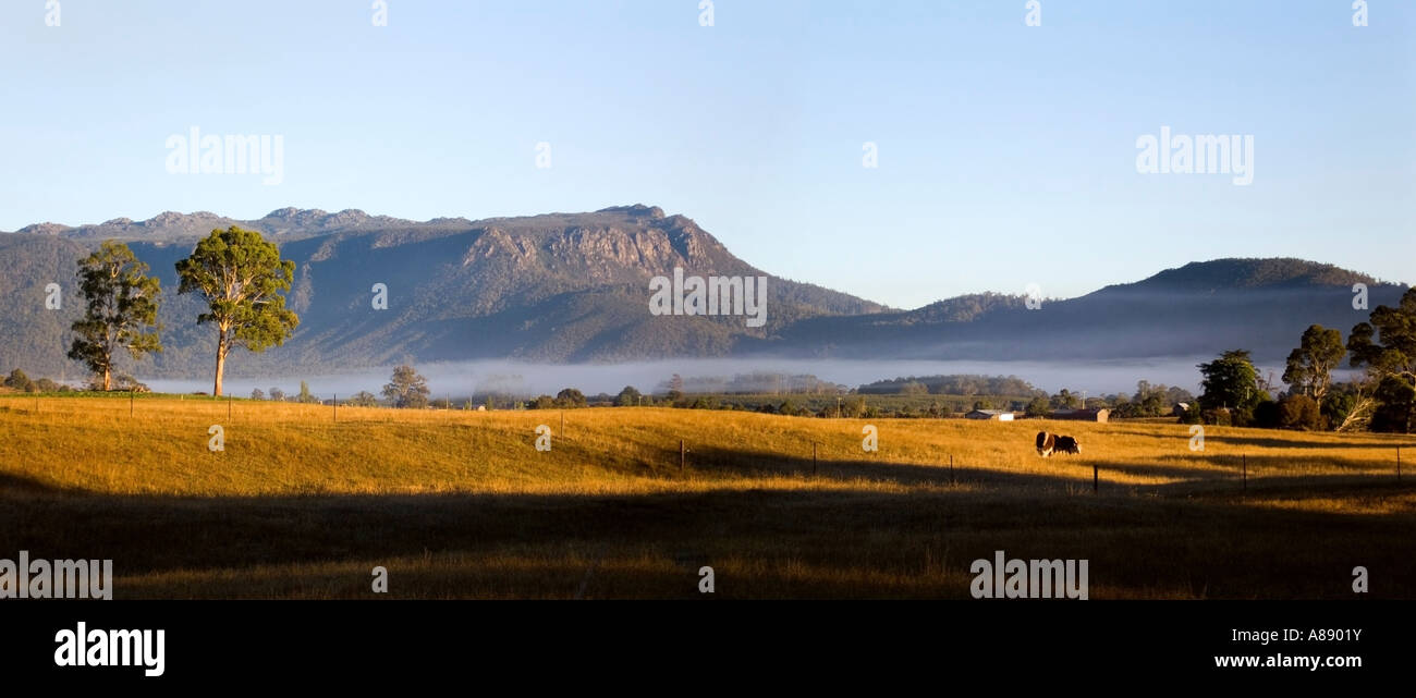 La première lumière sur le Great Western Tiers Banque D'Images