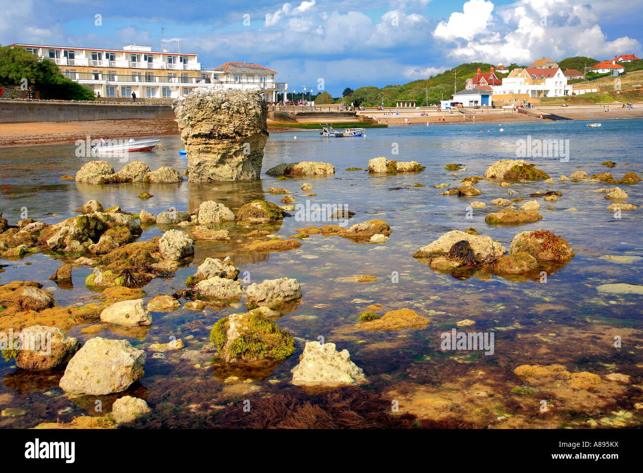 Rockpools Piles de la mer d'eau douce falaises Bay Île de Wight Hampshire Angleterre Grande-bretagne UK Banque D'Images