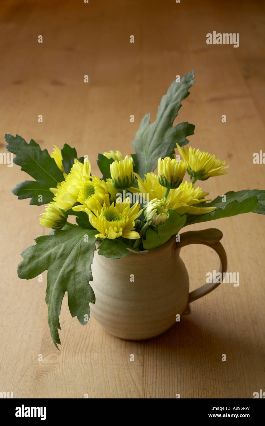 Chrysanthèmes dans un pot de céramique Banque D'Images