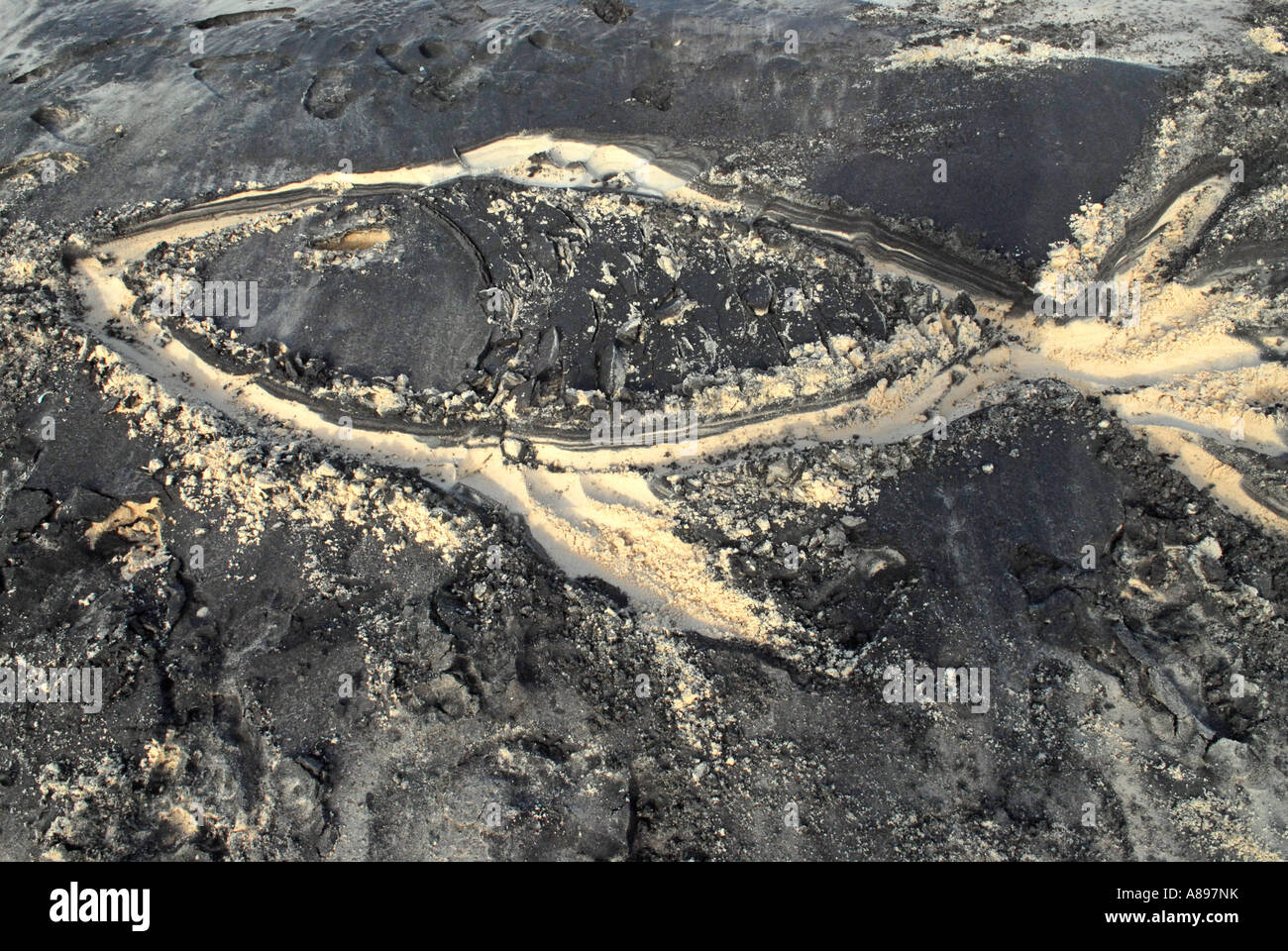 Dessin d'un poisson dans le sable Banque D'Images