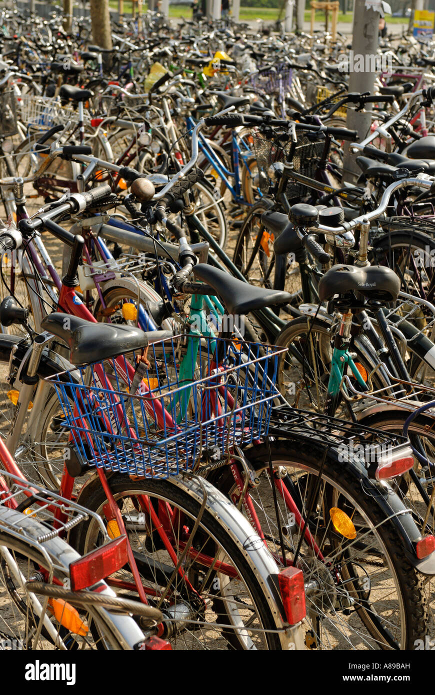 Place de parking vélo à Goettingen Niedersachsen Allemagne Banque D'Images