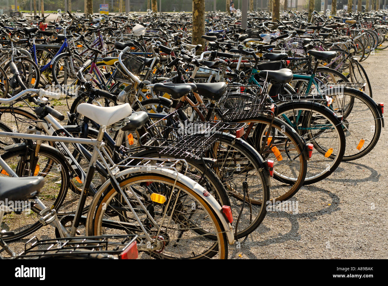 Place de parking vélo à Goettingen Niedersachsen Allemagne Banque D'Images