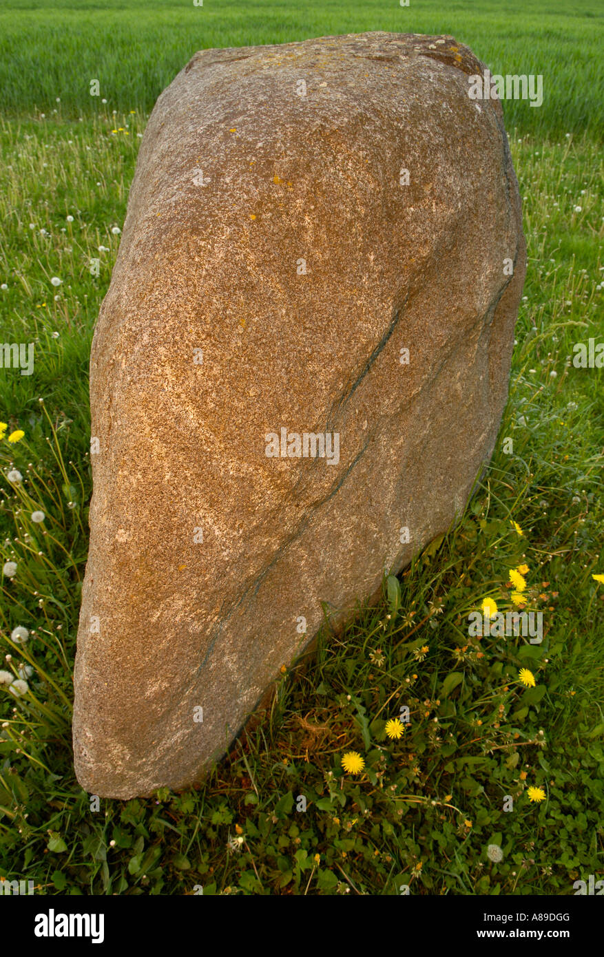 Art Nature par Franz Xaver Oelzant avec blocs erratiques, Theux, Waldviertel, Basse Autriche, Autriche Banque D'Images