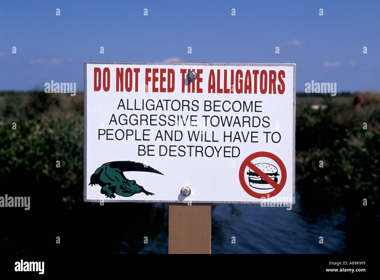 Fl Floride faune nature panneau d'avertissement de ne pas nourrir les alligators Banque D'Images