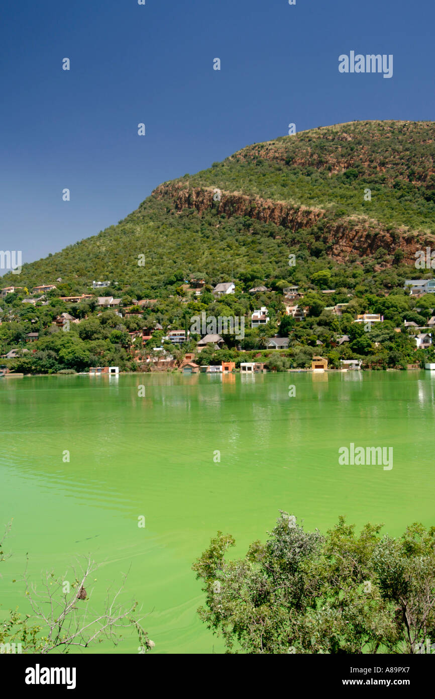 Le barrage Hartbeespoort en Afrique du Nord-ouest de la province. L'eau est verte en raison de la croissance des algues. Banque D'Images