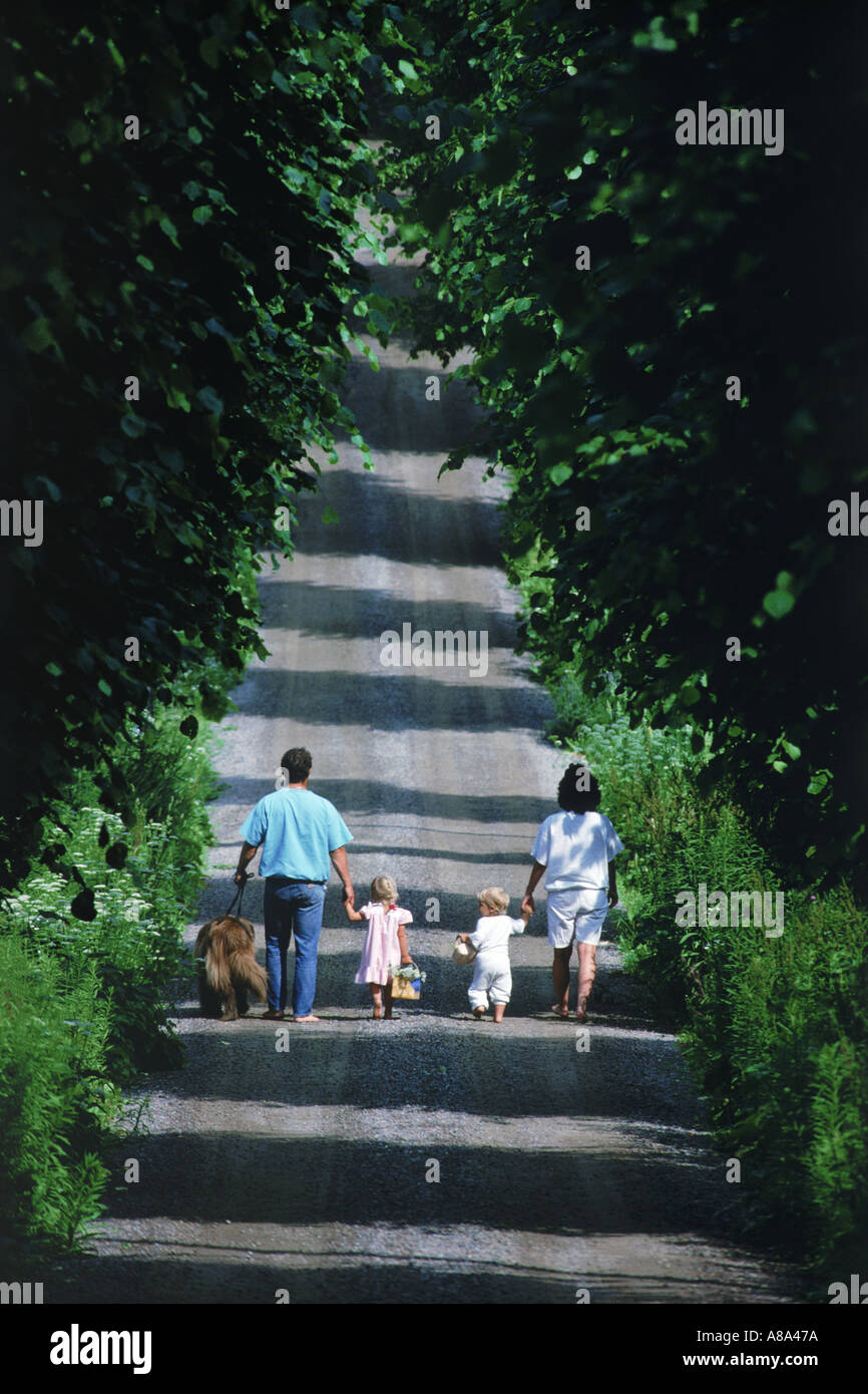 Famille de quatre personnes avec chien en route bordée d'arbres en Suède en été Banque D'Images