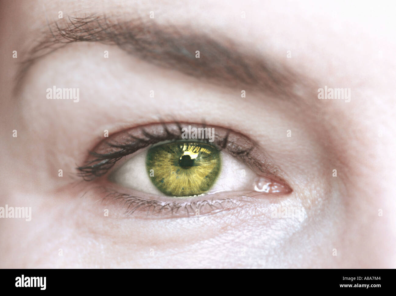 Femme avec des yeux vert Banque D'Images