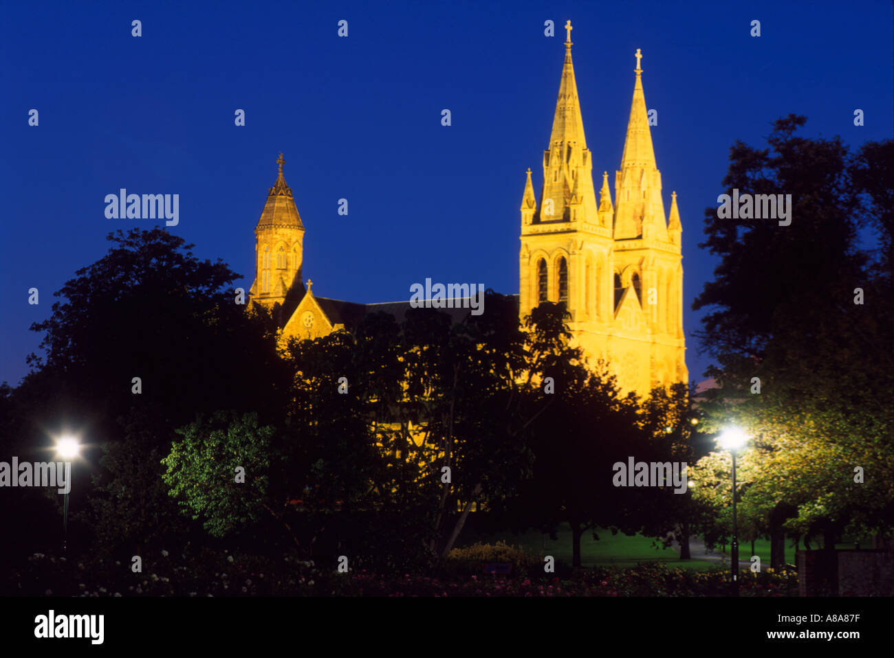 St Peters cathedral allumé à la tombée de Adelaide (Australie) Banque D'Images