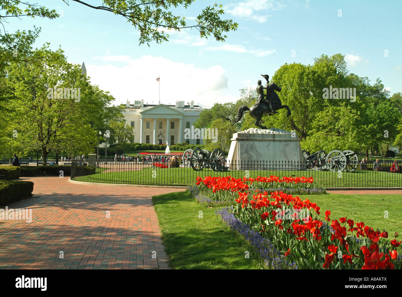 USA Washington DC Maison Blanche Amérique du portique et le parc Lafayette fleurs et canons Banque D'Images