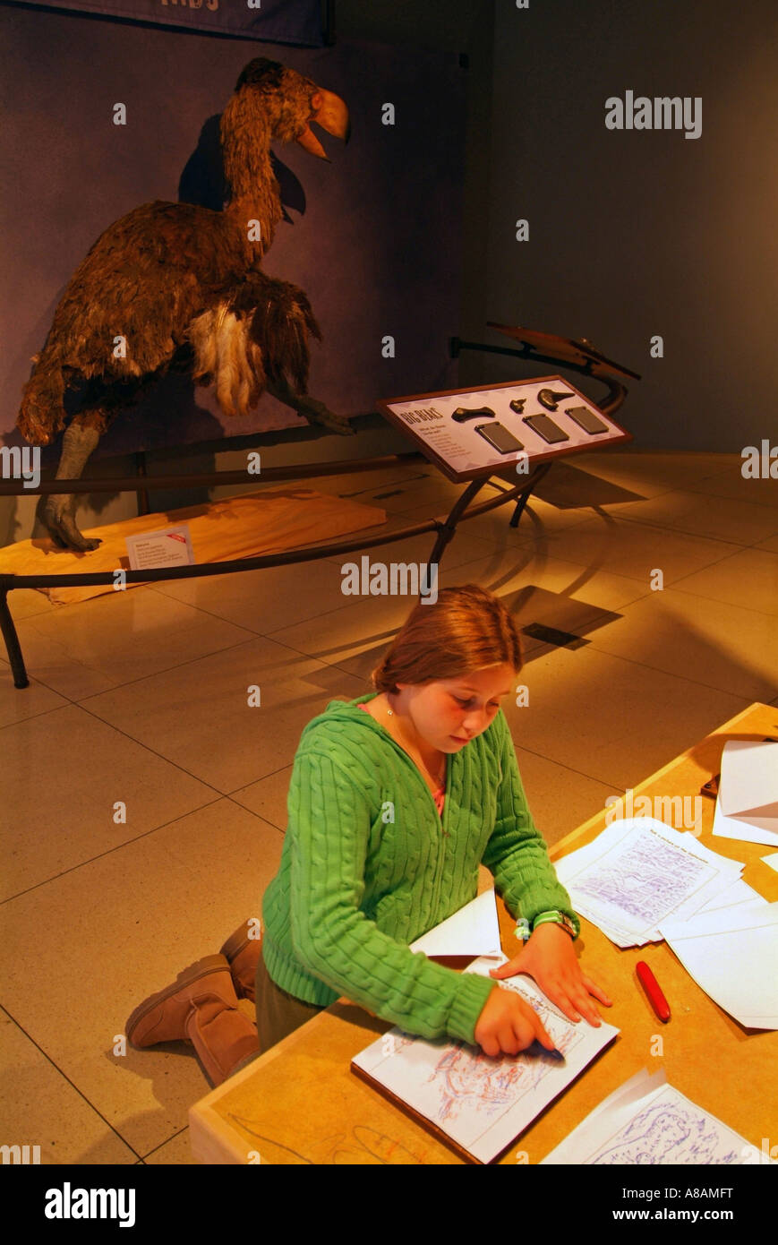 USA Washington DC National Geographic Explorer's Hall Banque D'Images