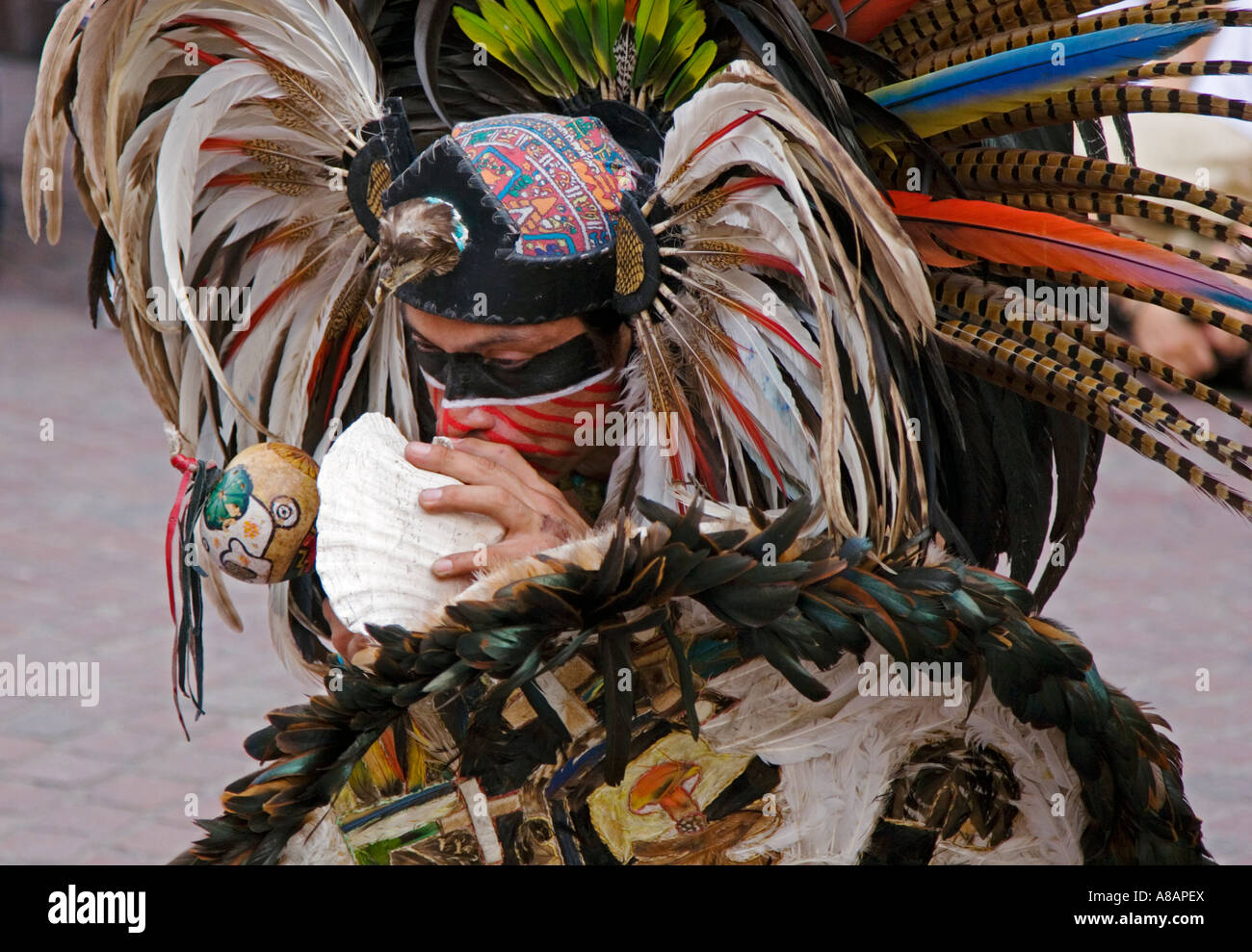 Un danseur aztèque souffle une conque dans un costume guerrier à plumes pendant le Festival Cervantino de Guanajuato au Mexique Banque D'Images