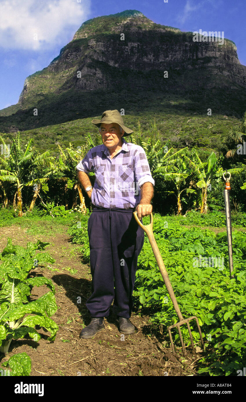 Ray Shick un résident de longue date de l'île Lord Howe dans son jardin de légumes abondants ci-dessous Mt Lidgbird Banque D'Images