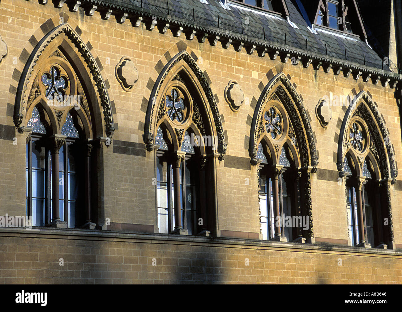 Détails de la fenêtre à l'avant de l'Oxford University Museum of Natural History par Benjamin Woodward achevé en 1860 Banque D'Images