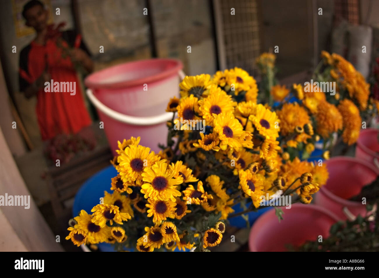 Fleuriste indienne sur la rue Pitt à Little India à Penang, Malaisie Banque D'Images
