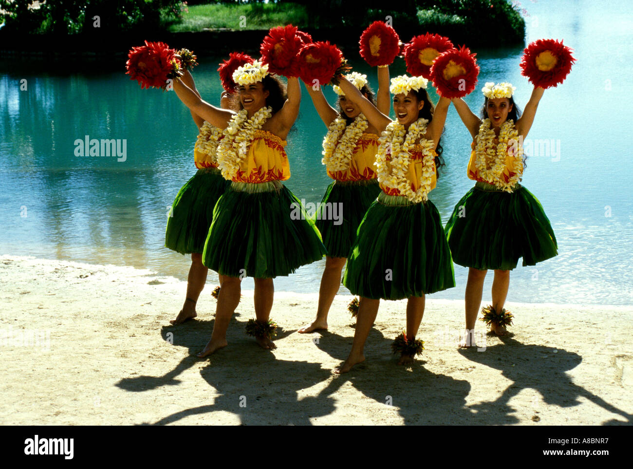 Danseurs Hula Oahu Hawaii Banque D'Images