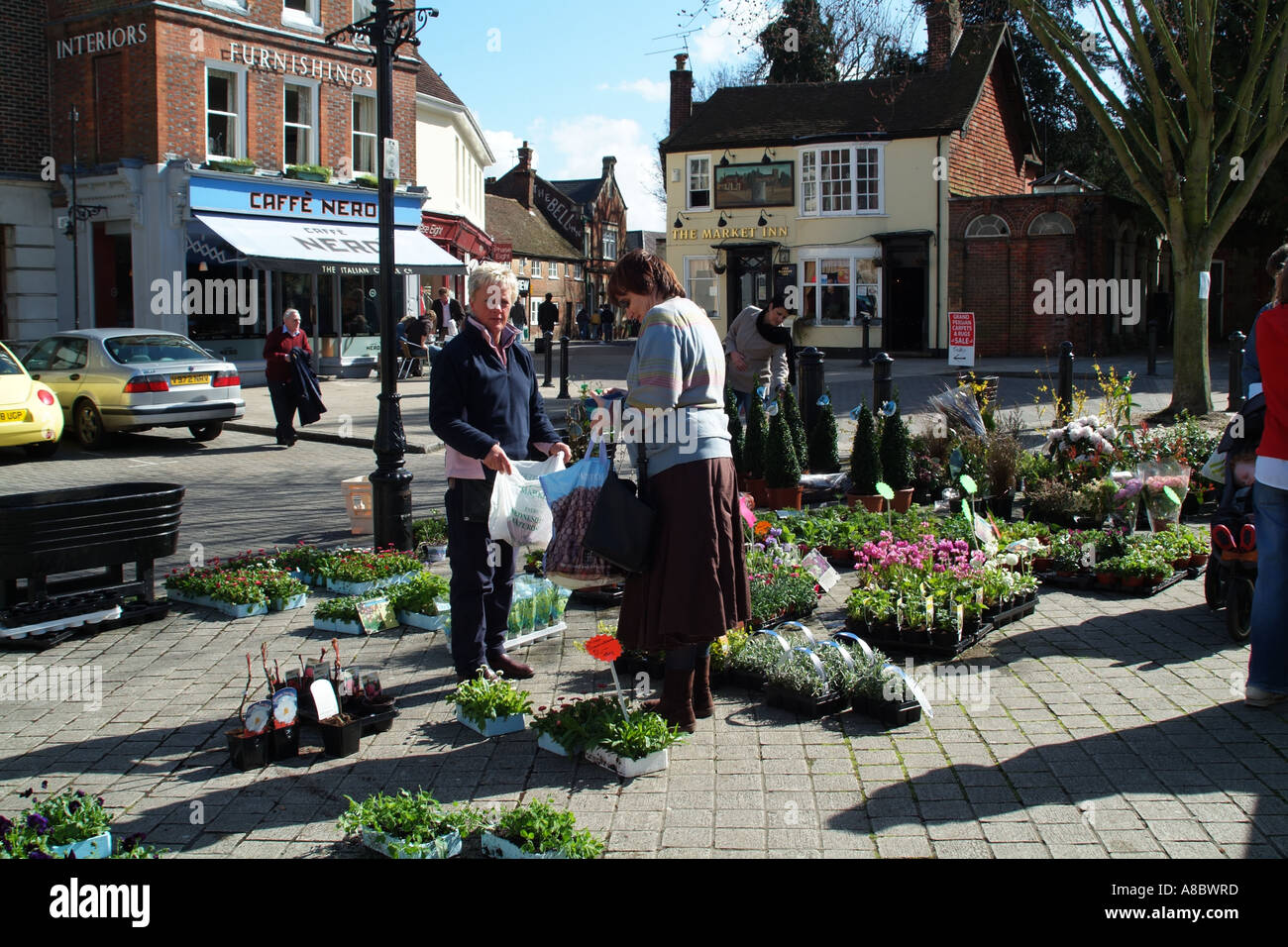 Le centre-ville de Petersfield Hampshire de décrochage du marché du sud de l'Angleterre Royaume-Uni UK vente de plants d'arbustes au public Banque D'Images