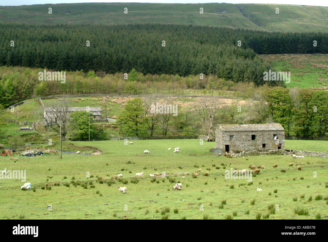 Bâtiment de ferme dans les Landes Parc National des Yorkshire Dales England Royaume-Uni UK Banque D'Images