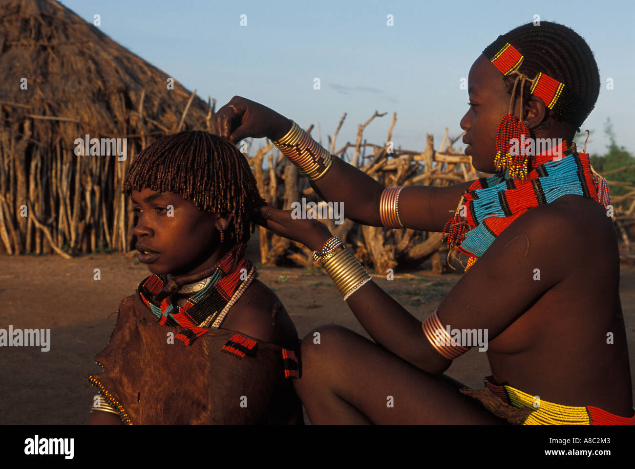 Les femmes appliquant à Hamer ocre leurs cheveux , Turmi , vallée de l'Omo, en Ethiopie du sud Banque D'Images