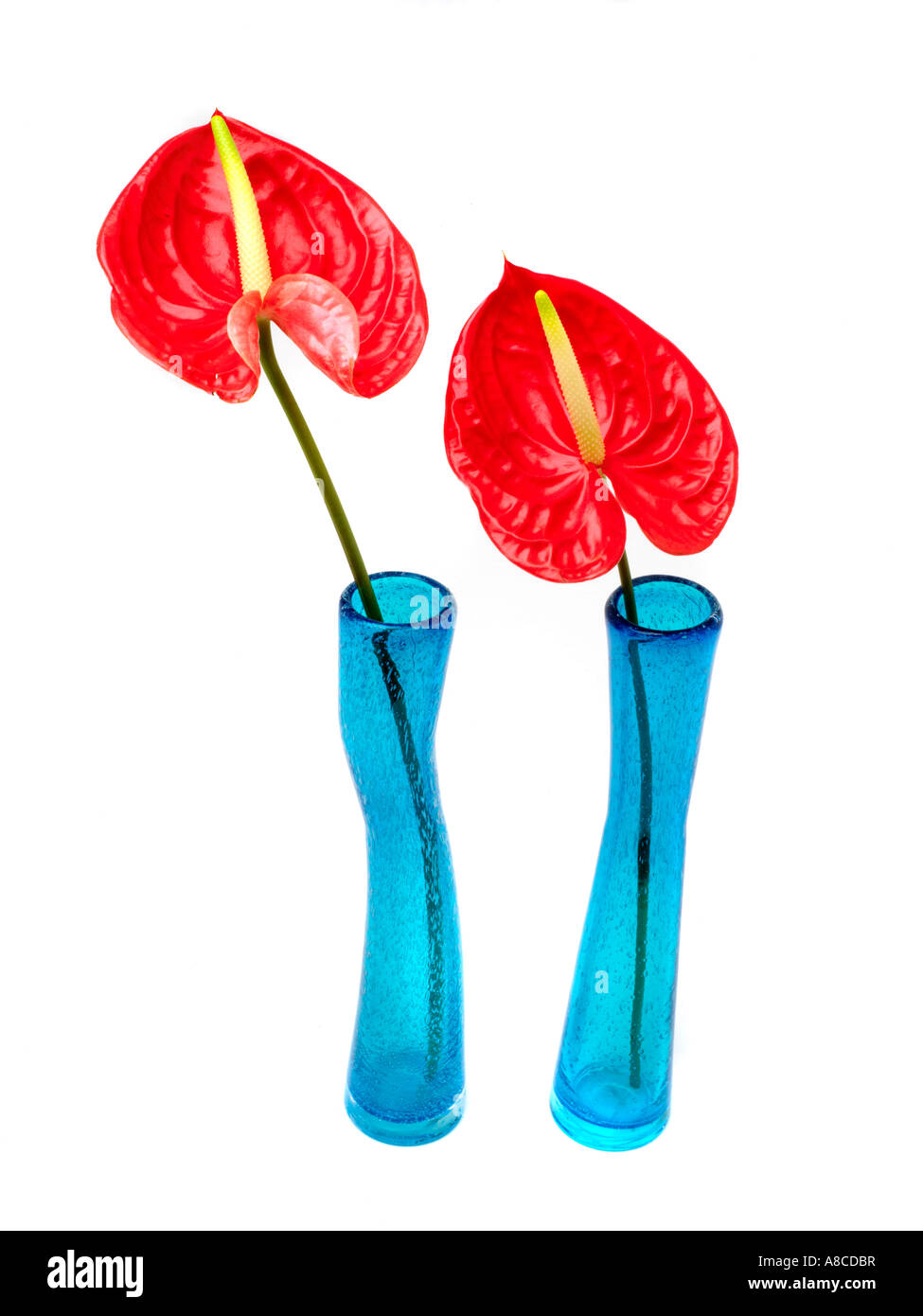 Antirrhinums et deux vases en verre recyclé bleu Banque D'Images