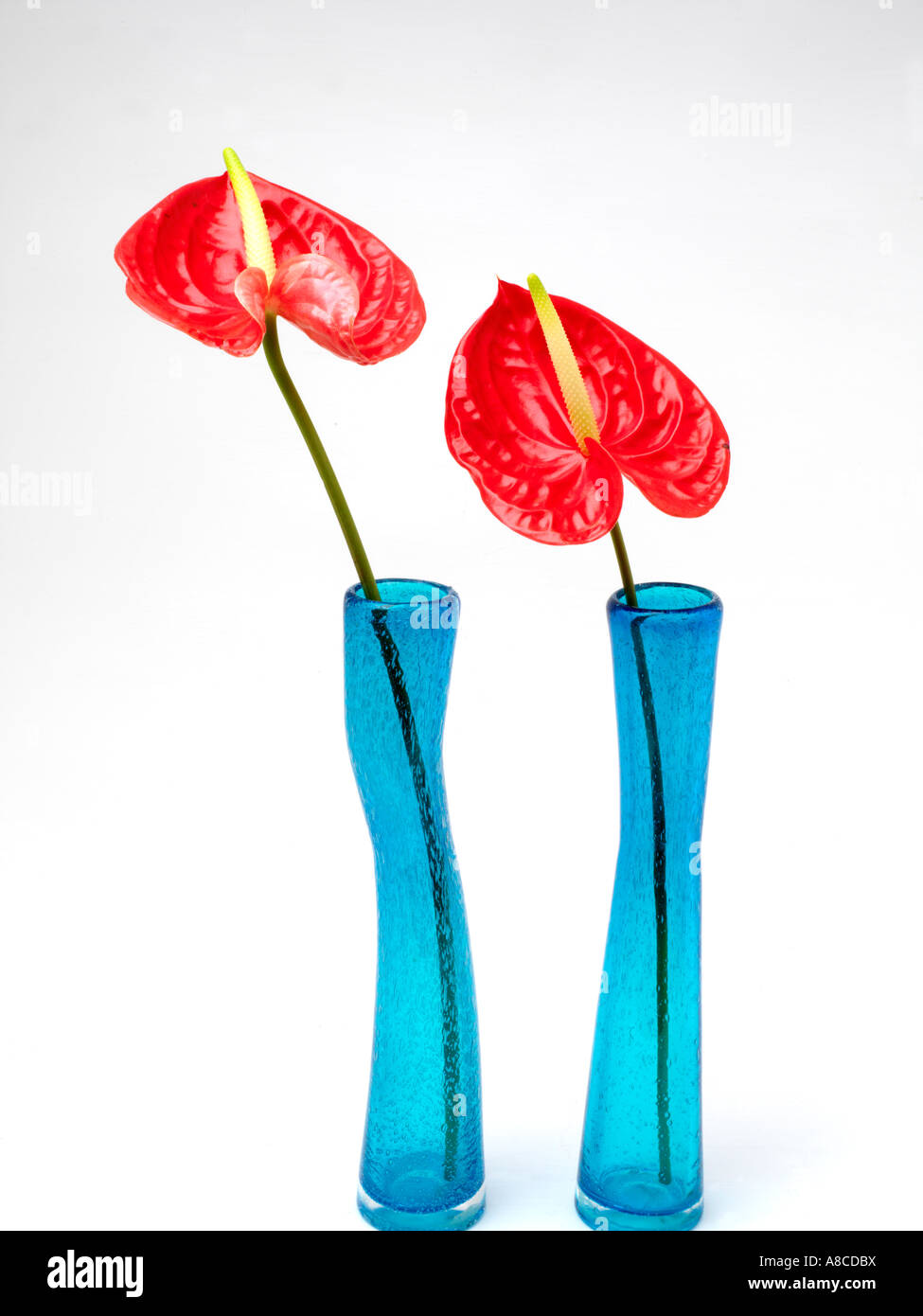 Antirrhinums et deux vases en verre recyclé bleu Banque D'Images