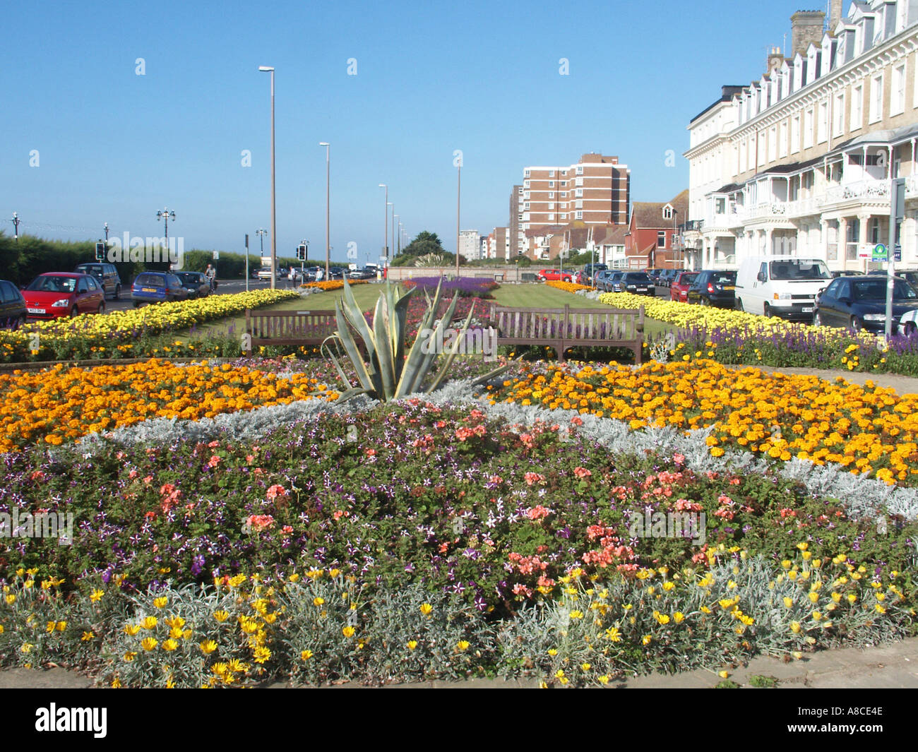 Les plantes à massifs d'été Worthing dans des jardins donnant sur terrasses résidentielles à proximité, promenade West Sussex England UK Banque D'Images
