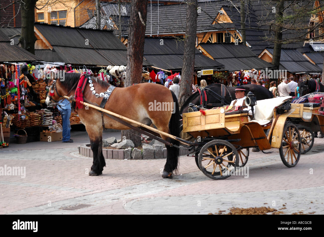 Cheval traditionnel panier sur rue Krupowki à Zakopane Banque D'Images