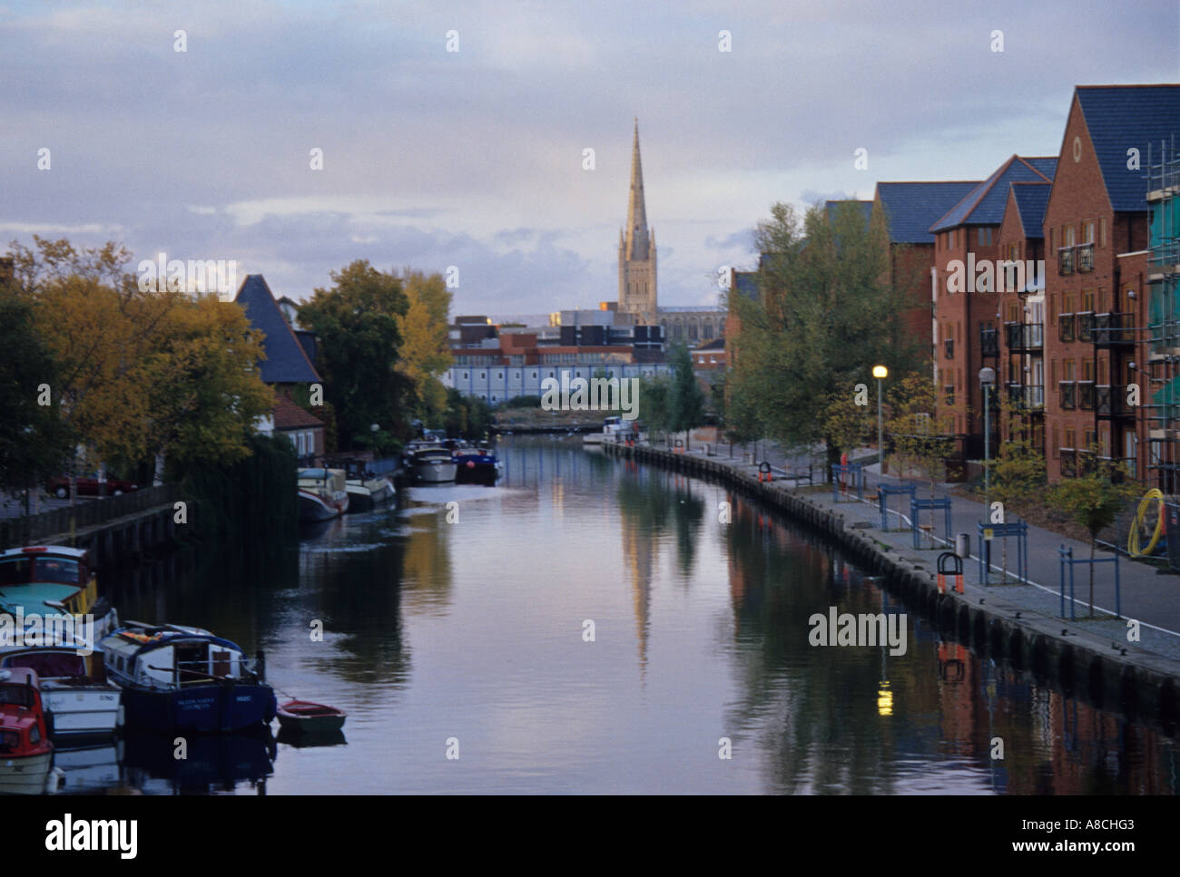 Cathédrale de Norwich reflétée dans la rivière Wensum Banque D'Images