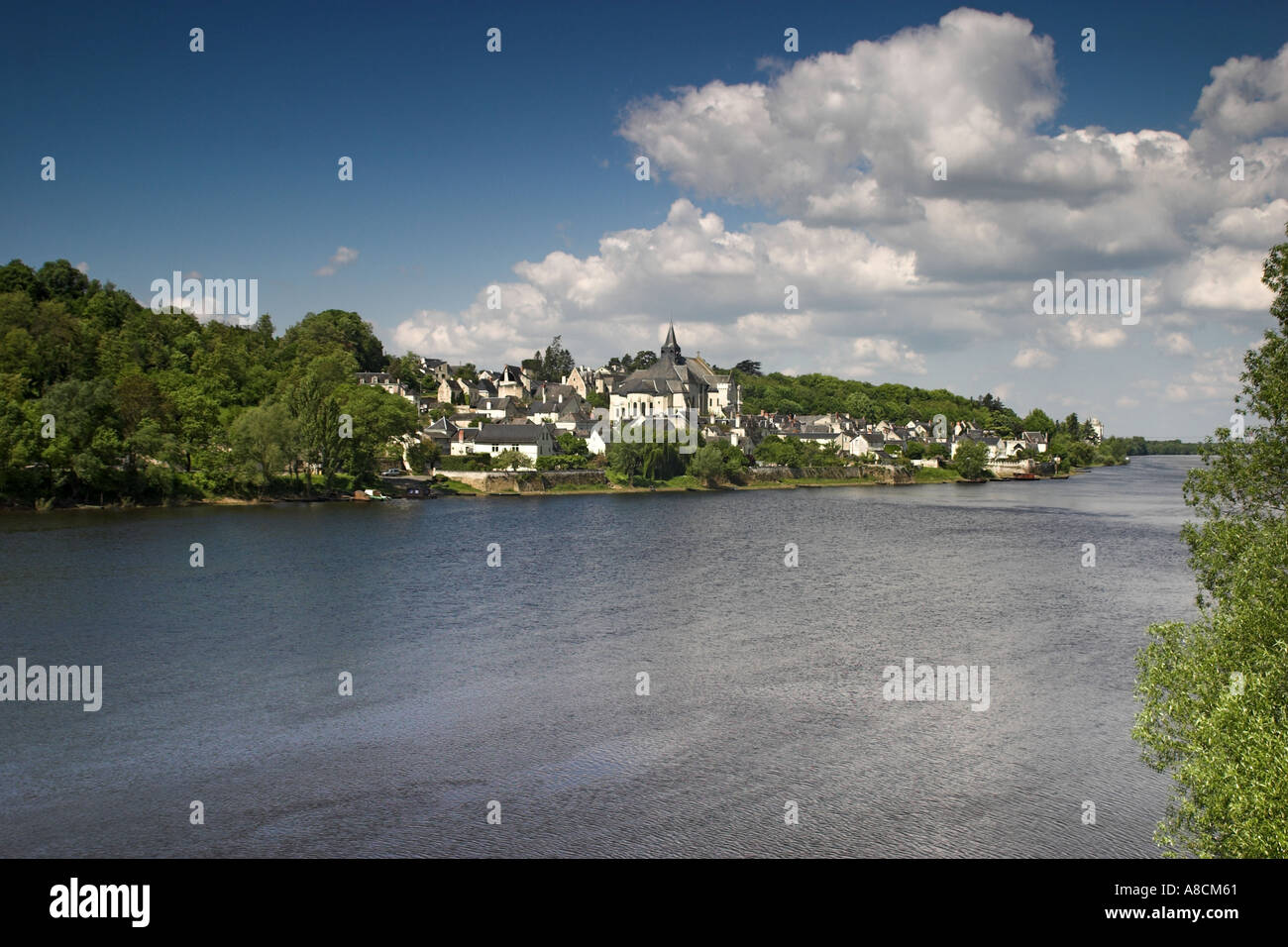 Candes St Martin sur les rives de la Loire, près de Montsoreau Banque D'Images