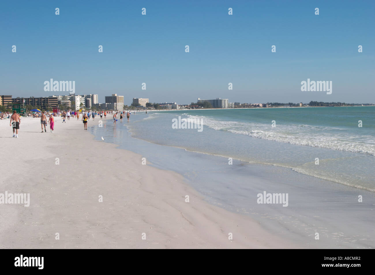 SIESTA KEY BEACH SUR SIESTA KEY SUR LE GOLFE DU MEXIQUE EN FLORIDE Banque D'Images SIESTA KEY BEACH SUR SIESTA KEY SUR LE GOLFE DU MEXIQUE EN FLORIDE Banque D'Images