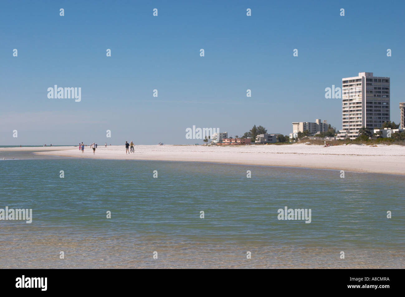 SIESTA KEY BEACH SUR SIESTA KEY SUR LE GOLFE DU MEXIQUE EN FLORIDE Banque D'Images SIESTA KEY BEACH SUR SIESTA KEY SUR LE GOLFE DU MEXIQUE EN FLORIDE Banque D'Images