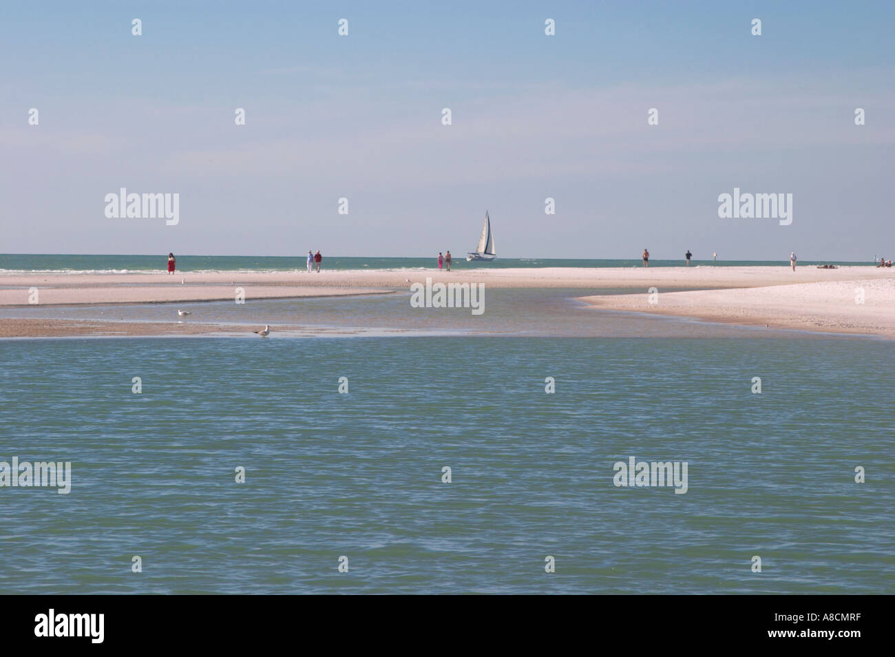 SIESTA KEY BEACH SUR SIESTA KEY SUR LE GOLFE DU MEXIQUE EN FLORIDE Banque D'Images SIESTA KEY BEACH SUR SIESTA KEY SUR LE GOLFE DU MEXIQUE EN FLORIDE Banque D'Images