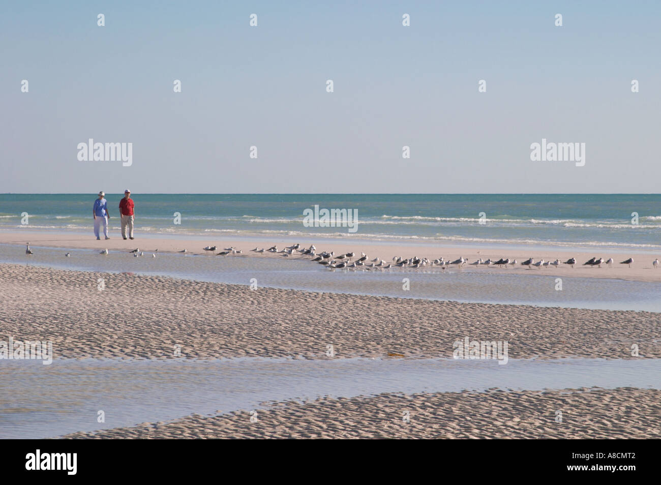 SIESTA KEY BEACH SUR SIESTA KEY SUR LE GOLFE DU MEXIQUE EN FLORIDE Banque D'Images SIESTA KEY BEACH SUR SIESTA KEY SUR LE GOLFE DU MEXIQUE EN FLORIDE Banque D'Images