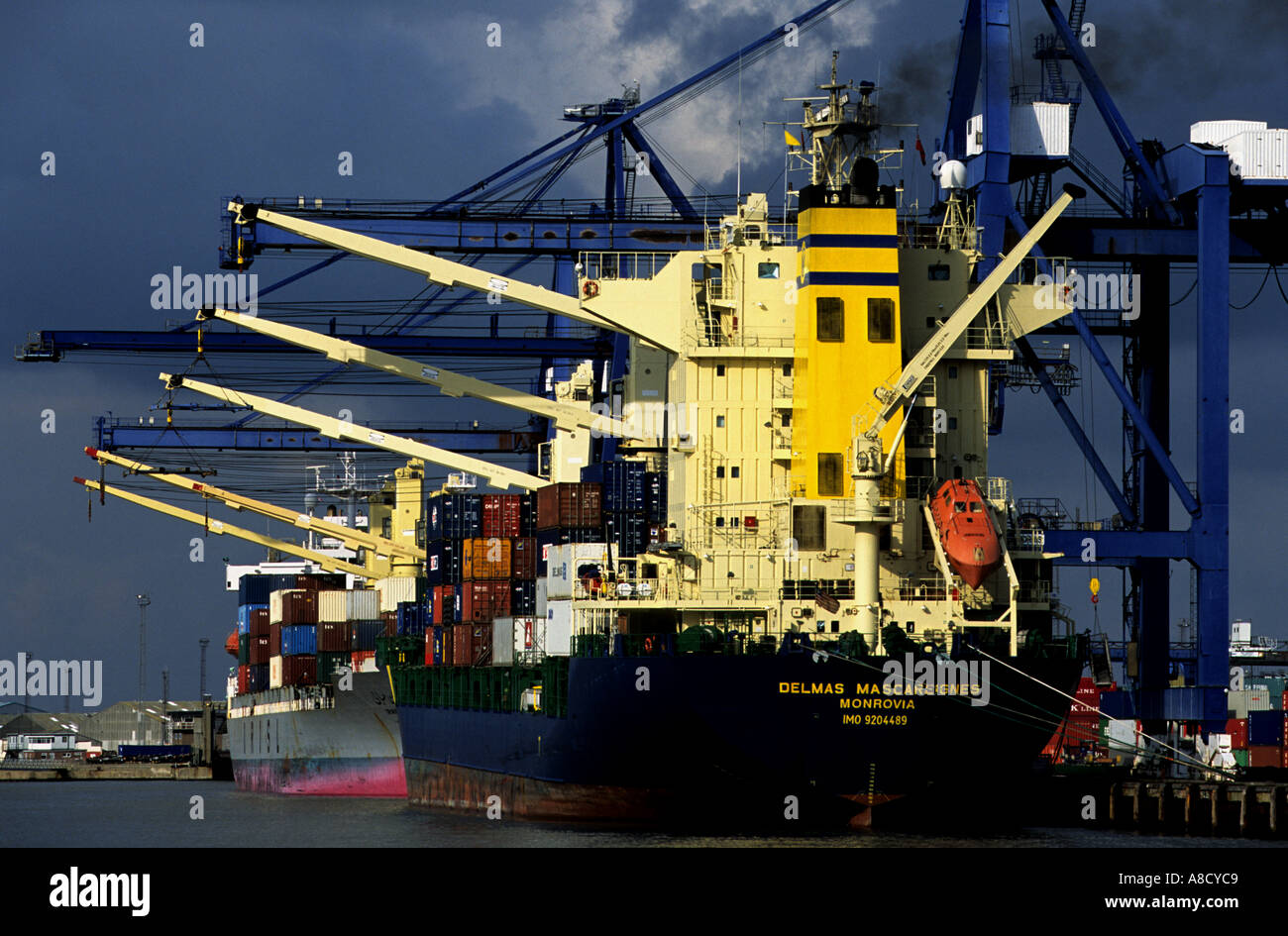 Dans les navires à quai à Landguard terminal à conteneurs au port de Felixstowe, Suffolk, UK. Banque D'Images