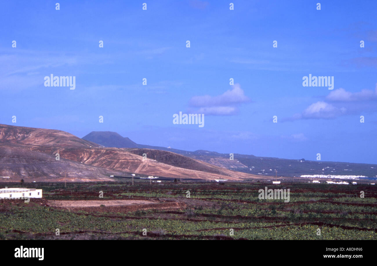 GUATIZA. LANZAROTE. Îles Canaries. L'EUROPE Banque D'Images