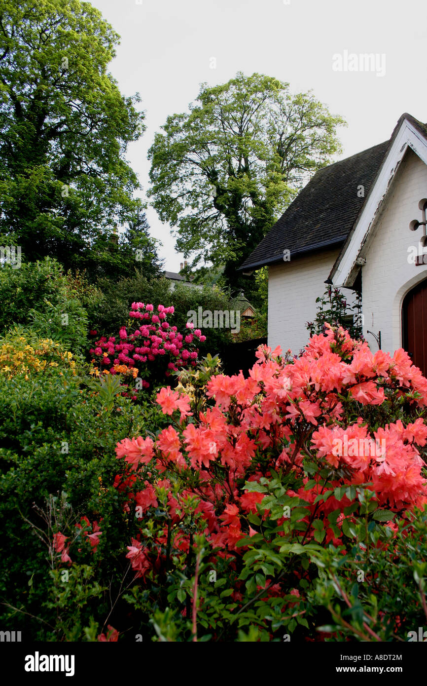 Côté jardin luxuriant de little white cottage pittoresque à great Malvern, Worcestershire, Angleterre, RU Banque D'Images