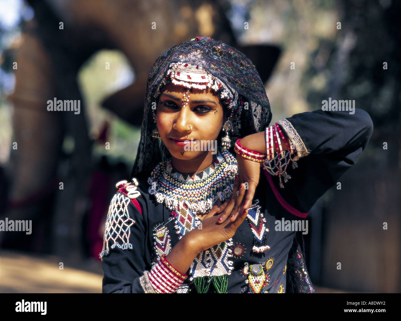 Kalbelia danseur girl, Rajasthan, Inde Banque D'Images