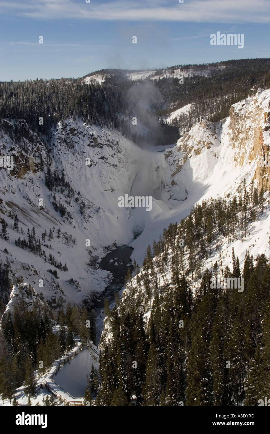 Lower Falls de la rivière Yellowstone Banque D'Images