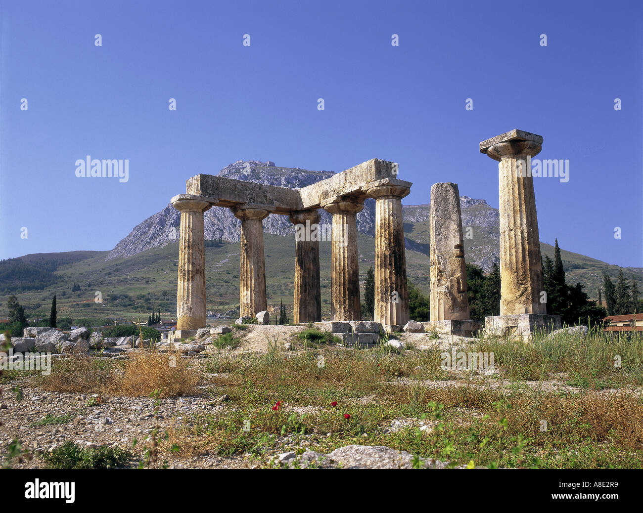 Corinthe antique Temple d'Apollon Péloponnèse, Grèce Banque D'Images