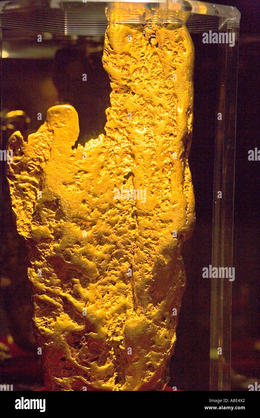L'énorme "Main de la foi' gold nugget, Wedderburn, découverte de l'Australie sur l'affichage au Golden Nugget Casino de Las Vegas Banque D'Images