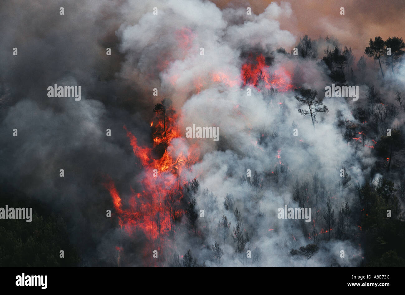 Vue aérienne d'un incendie de forêt, feu de forêt des flammes et fumée, Bouches-du-Rhône, Provence, France, Europe, Banque D'Images
