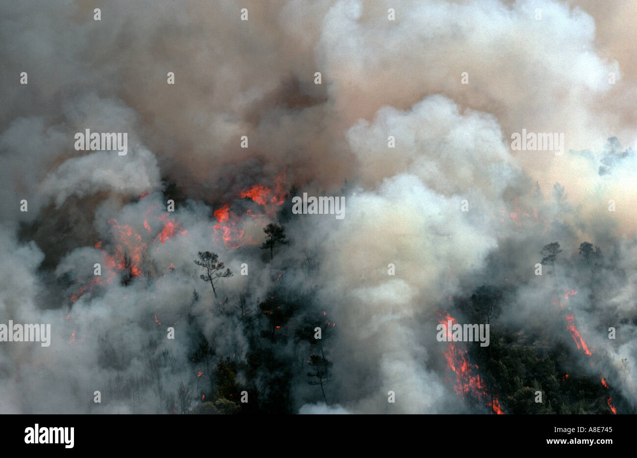 Vue aérienne d'un incendie de forêt, feu de forêt des flammes et fumée, Bouches-du-Rhône, Provence, France, Europe, Banque D'Images
