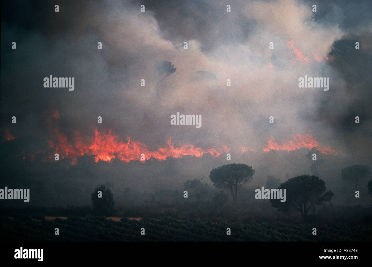 Vue aérienne d'un incendie de forêt, feu de forêt des flammes et fumée, crépuscule, Bouches-du-Rhône, Provence, France, Europe, Banque D'Images