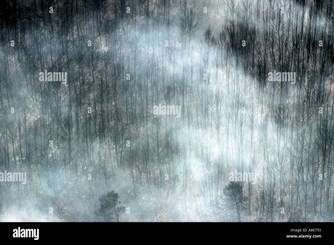 Vue aérienne d'une forêt brûlée, nuage de fumée d'incendie, suite d'un incendie de forêt, Bouches-du-Rhône, Provence, France, Europe, Banque D'Images